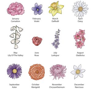 Birth Flowers options