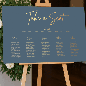 dusty blue choose your seat sign