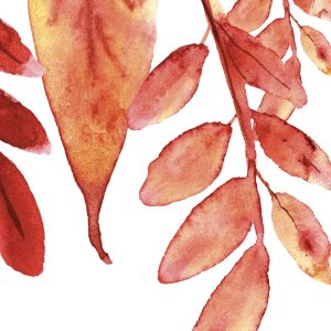 Watercolour design