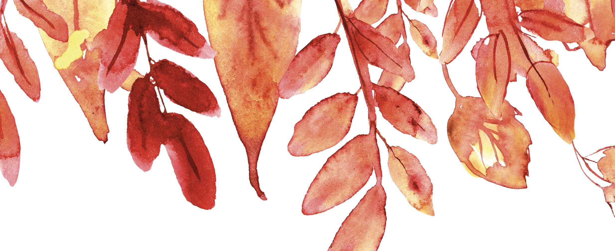 Watercolour design