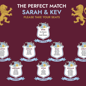 bespoke aston villa fans seating plan