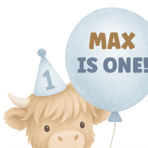 1st birthday decorations for a boy