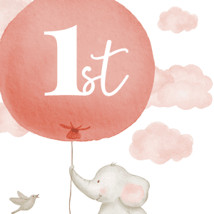 girls 1st birthday sign