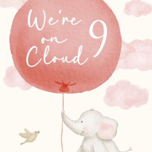 On Cloud 9 Baby Shower Welcome Board