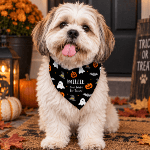 Personalised Halloween dog bandana collar for small to medium dogs. Add a name and message lines for a fun seasonal gift.