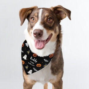 dogs halloween bandana