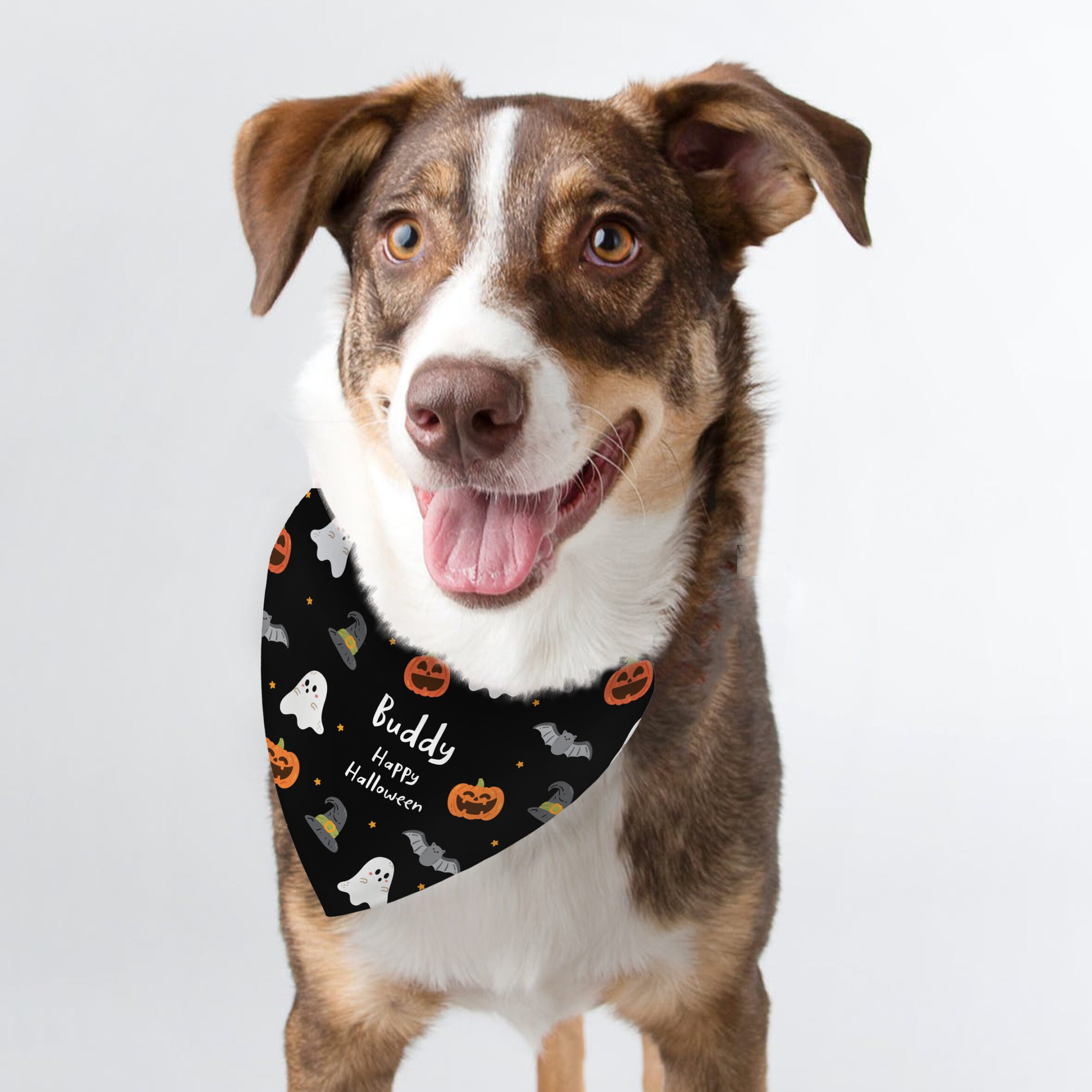 dogs halloween bandana