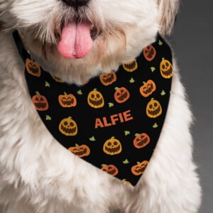 pumpkin dog bandana